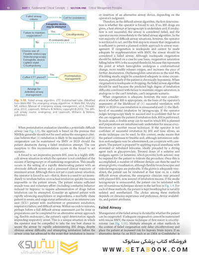 Rosen's Emergency Medicine: Concepts and Clinical Practice