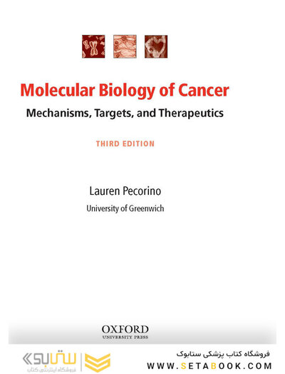 Molecular Biology of Cancer : Mechanisms, Targets, and Therapeutics 2012