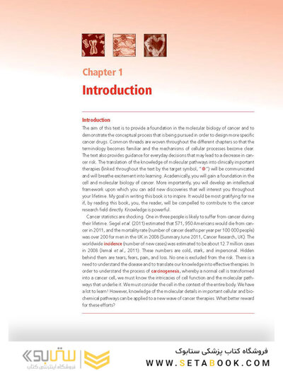 Molecular Biology of Cancer : Mechanisms, Targets, and Therapeutics 2012