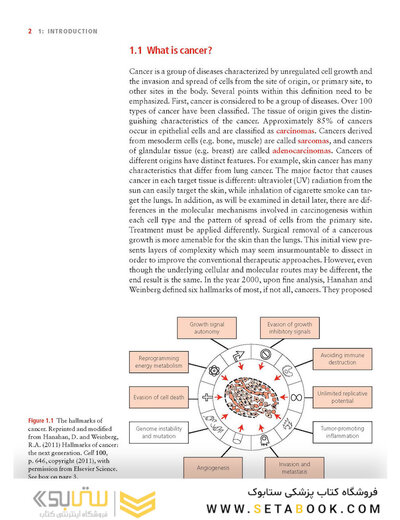 Molecular Biology of Cancer : Mechanisms, Targets, and Therapeutics 2012