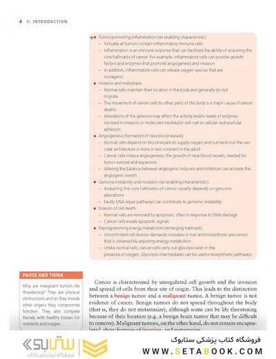 Molecular Biology of Cancer : Mechanisms, Targets, and Therapeutics 2012