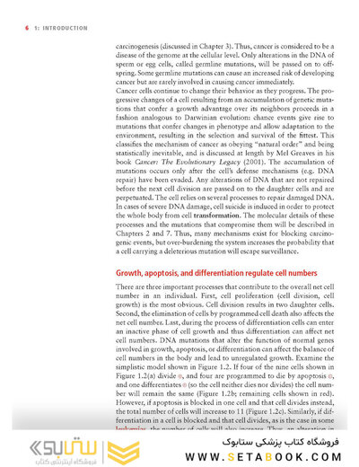 Molecular Biology of Cancer : Mechanisms, Targets, and Therapeutics 2012