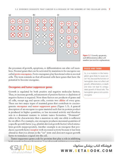 Molecular Biology of Cancer : Mechanisms, Targets, and Therapeutics 2012