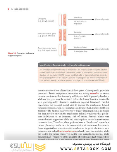 Molecular Biology of Cancer : Mechanisms, Targets, and Therapeutics 2012