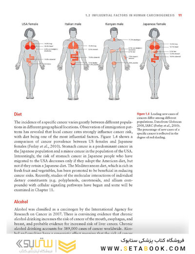 Molecular Biology of Cancer : Mechanisms, Targets, and Therapeutics 2012