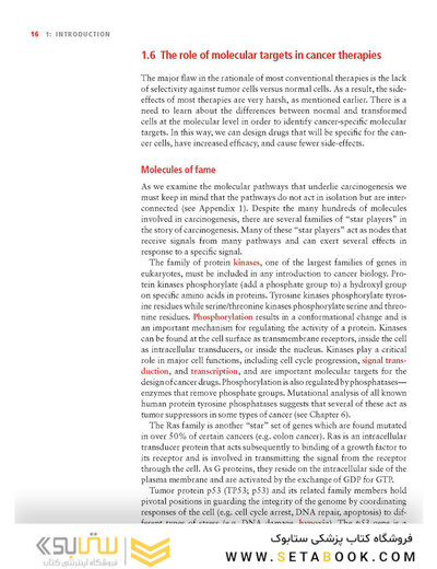Molecular Biology of Cancer : Mechanisms, Targets, and Therapeutics 2012