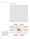 Molecular Biology of Cancer : Mechanisms, Targets, and Therapeutics 2012