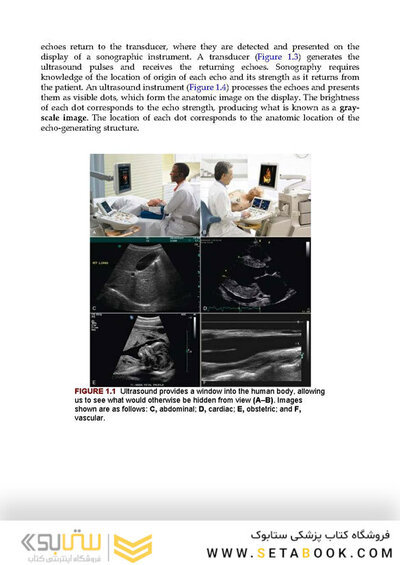 Sonography Principles and Instruments 10th Edition 2020