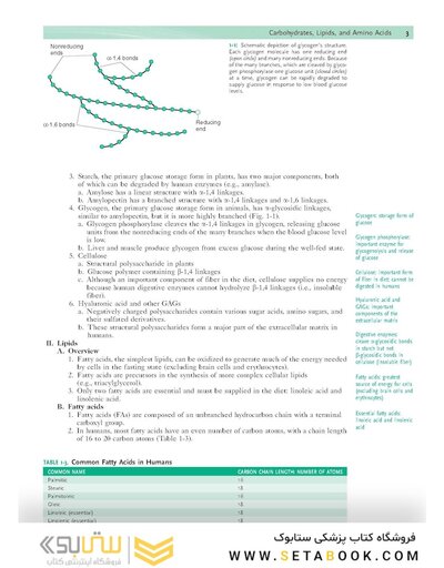 Rapid Review Biochemistry, 3rd Edition