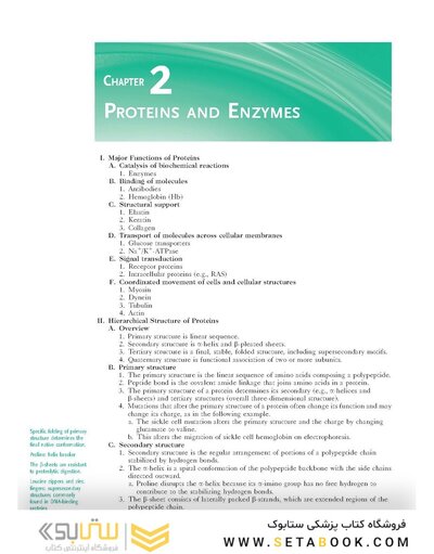 Rapid Review Biochemistry, 3rd Edition