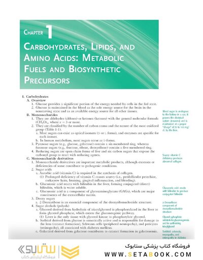 Rapid Review Biochemistry, 3rd Edition