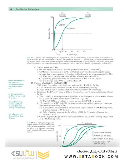 Rapid Review Biochemistry, 3rd Edition