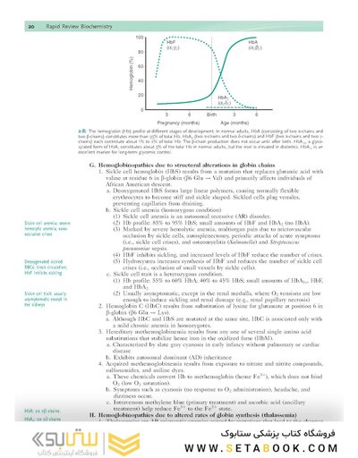 Rapid Review Biochemistry, 3rd Edition