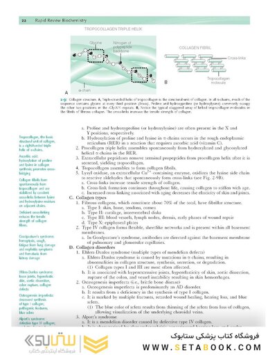 Rapid Review Biochemistry, 3rd Edition