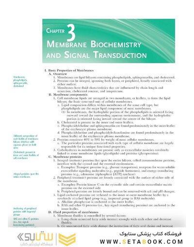 Rapid Review Biochemistry, 3rd Edition