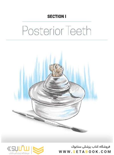Dental Anatomy and Morphology