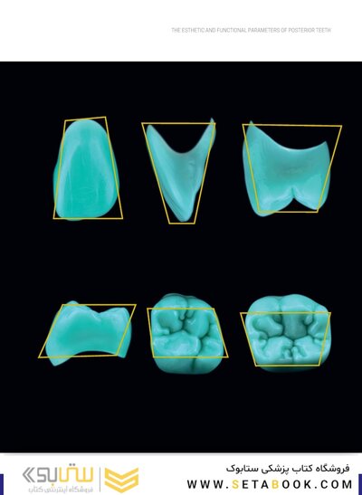 Dental Anatomy and Morphology