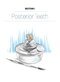 Dental Anatomy and Morphology