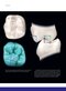 Dental Anatomy and Morphology