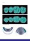 Dental Anatomy and Morphology