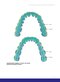 Dental Anatomy and Morphology
