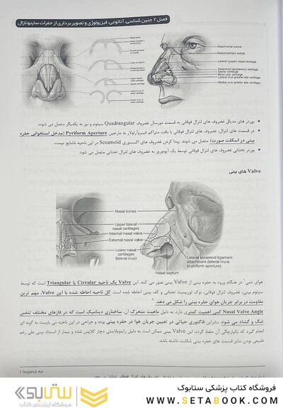 از نگاهی دیگر تصویر برداری سر و گردن som