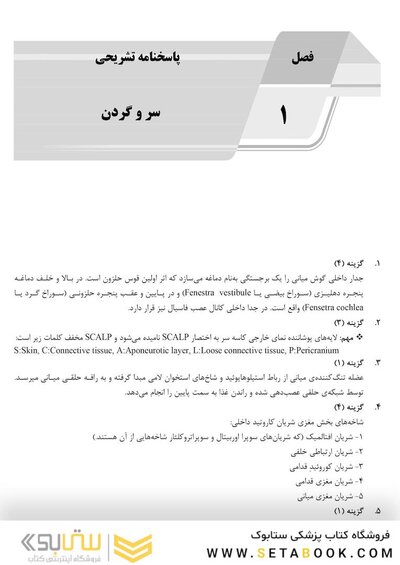 IQB آناتومی