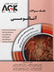 IQB آناتومی