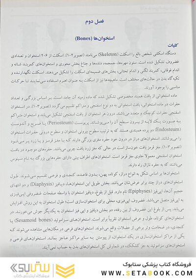 کالبدشناسی انسانی بالینی