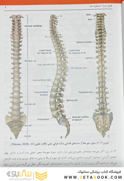 کالبدشناسی انسانی بالینی