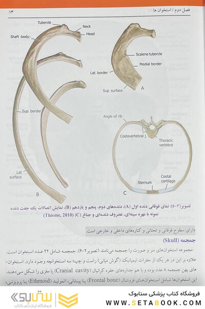 کالبدشناسی انسانی بالینی