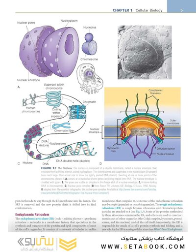 Pathophysiology: The Biologic Basis for Disease in Adults and Children 8th Edition