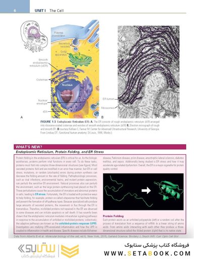 Pathophysiology: The Biologic Basis for Disease in Adults and Children 8th Edition