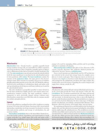 Pathophysiology: The Biologic Basis for Disease in Adults and Children 8th Edition