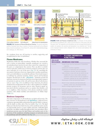 Pathophysiology: The Biologic Basis for Disease in Adults and Children 8th Edition