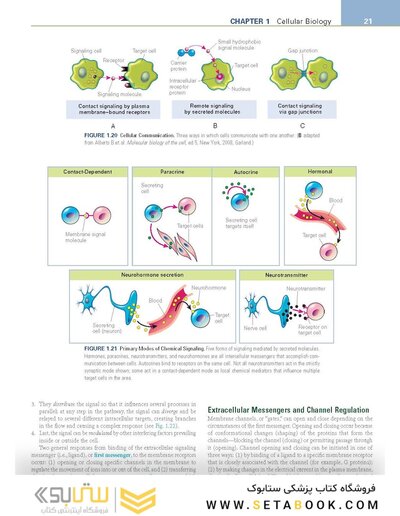 Pathophysiology: The Biologic Basis for Disease in Adults and Children 8th Edition