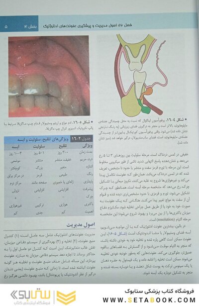 اصول جراحی دهان فک و صورت نوین پیترسون 2019 جلد 2
