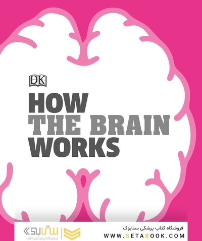 How the Brain Works: The Facts Visually Explained (How Things Work)2020