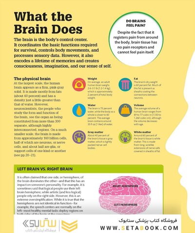 How the Brain Works: The Facts Visually Explained (How Things Work)2020
