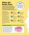 How the Brain Works: The Facts Visually Explained (How Things Work)2020