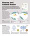 How the Brain Works: The Facts Visually Explained (How Things Work)2020