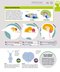 How the Brain Works: The Facts Visually Explained (How Things Work)2020