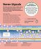 How the Brain Works: The Facts Visually Explained (How Things Work)2020