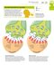 How the Brain Works: The Facts Visually Explained (How Things Work)2020