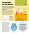 How the Brain Works: The Facts Visually Explained (How Things Work)2020