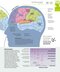 How the Brain Works: The Facts Visually Explained (How Things Work)2020