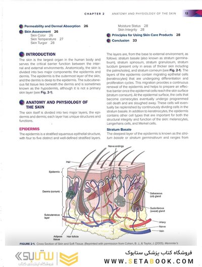 Wound, Ostomy, and Continence Nurses Society Core Curriculum: Wound Management Second, North American Edición