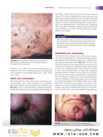 Wound, Ostomy, and Continence Nurses Society Core Curriculum: Wound Management Second, North American Edición