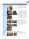 Wound, Ostomy, and Continence Nurses Society Core Curriculum: Wound Management Second, North American Edición