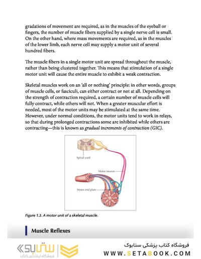 Muscle Energy Techniques, Second Edition : A Practical Guide for Physical Therapists